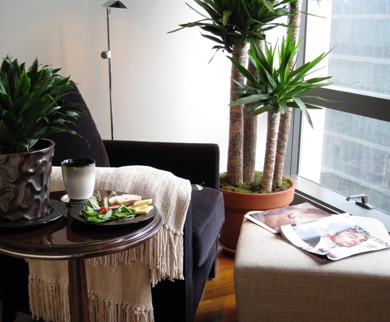 NYC-Apt-reading-corner